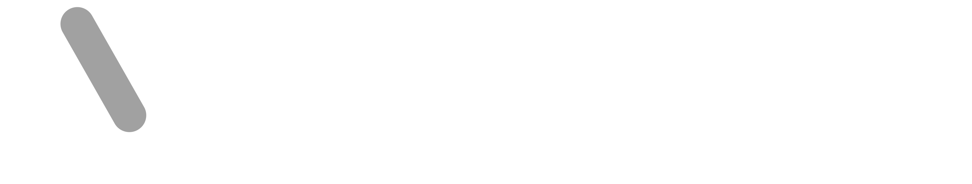 Velnora Labs